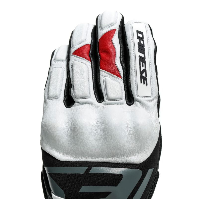 Rękawice narciarskie Dainse Hp Gloves Lily white/stretch limo