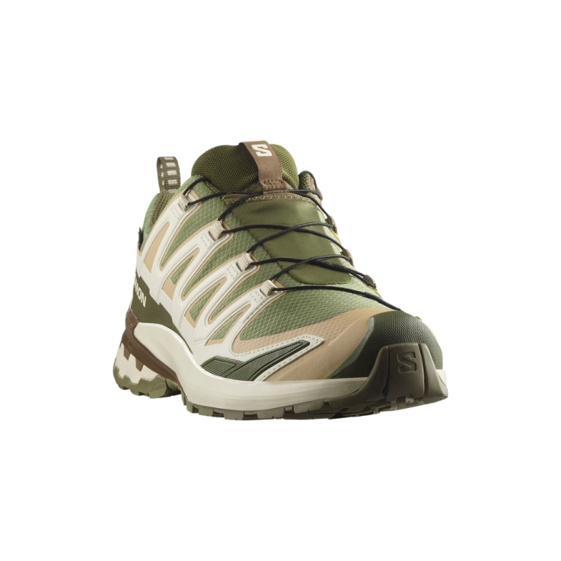 Buty męskie Salomon XA PRO 3D V9 GTX zielone