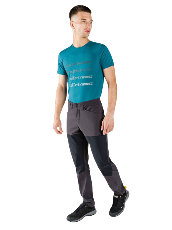 Spodnie narciarskie męskie Peak Performance Iconiq Pants czarne