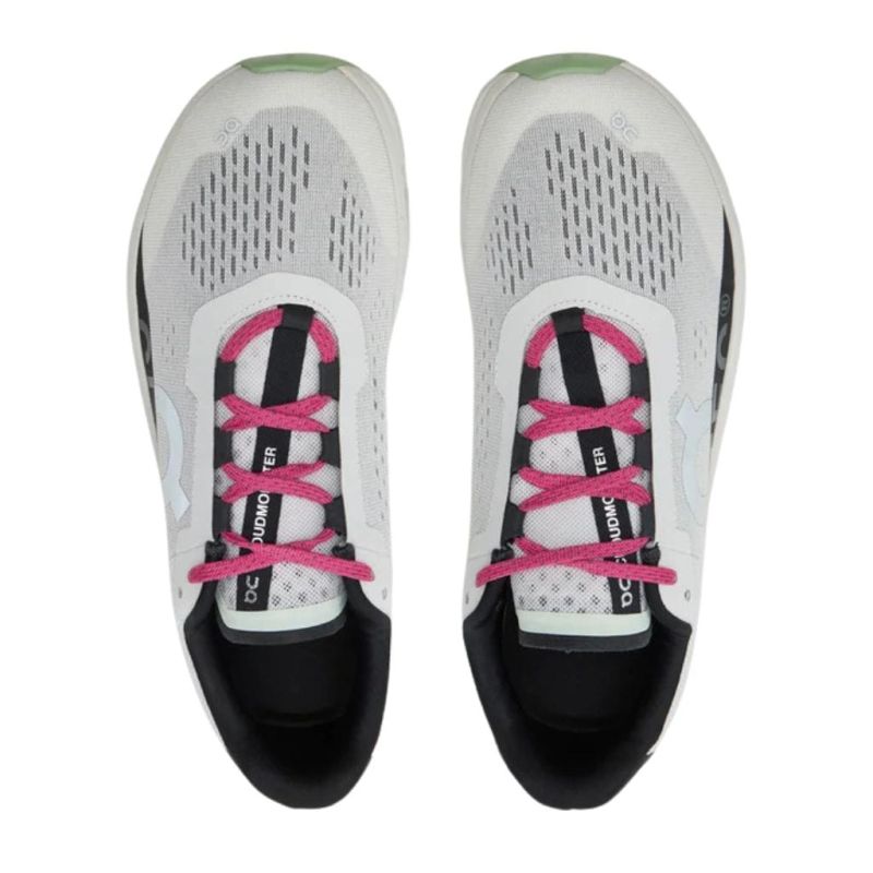 Buty męskie On Running Cloudmonster szare