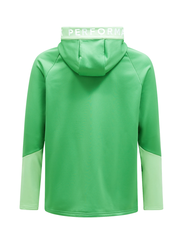 Bluza Peak Performance męska Rider Zip Hood zielona