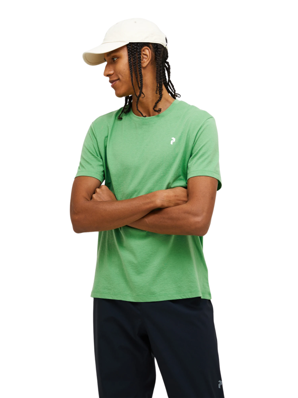 Koszulka Peak Performance męska Explore Graphic Tee zielona