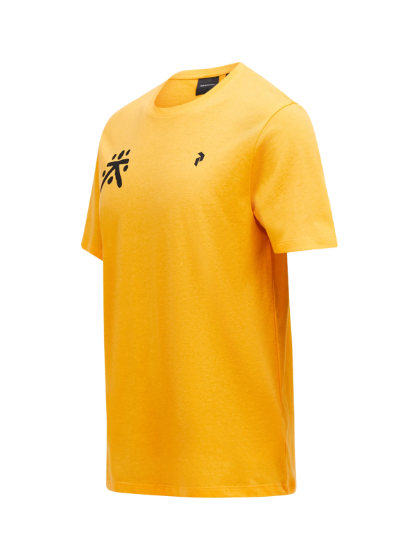 Koszulka Peak Performance męska Explore Graphic Tee pomarańczowa