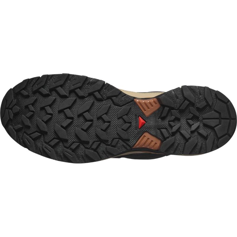 Buty męskie Salomon X Ultra 360 GTX Phantom/Safari/Caramel Cafe