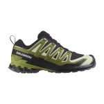 Buty męskie Salomon XA PRO 3D V9 GTX Black/Lime Cream/Dark Citron