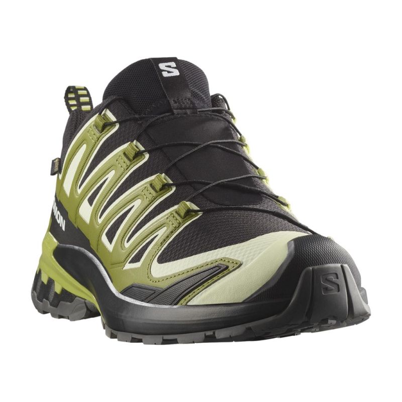 Buty męskie Salomon XA PRO 3D V9 GTX Black/Lime Cream/Dark Citron
