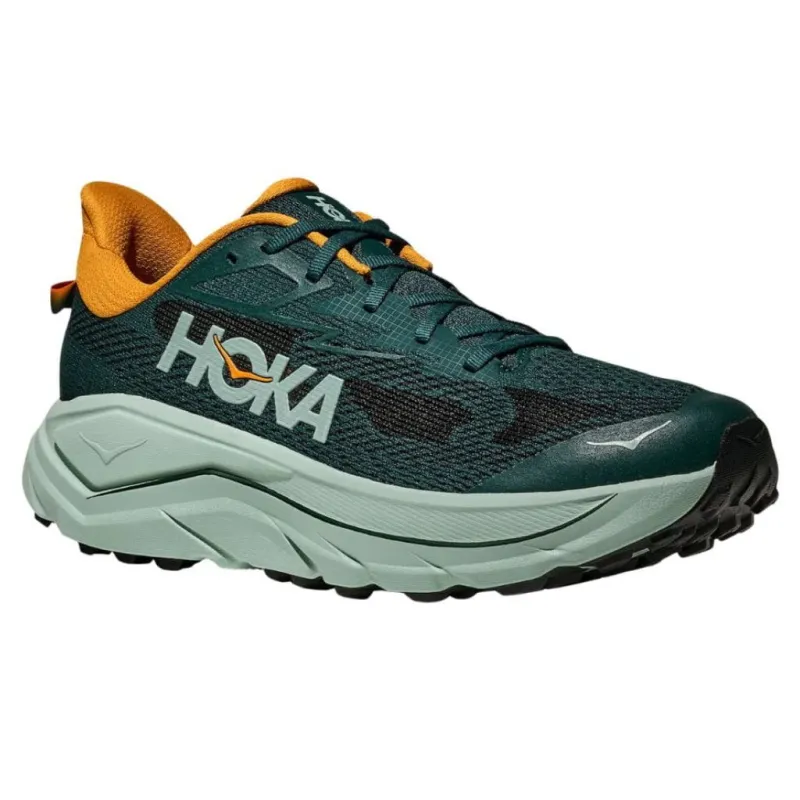 Buty biegowe męskie HOKA Challenger 8 bay leaf/sage