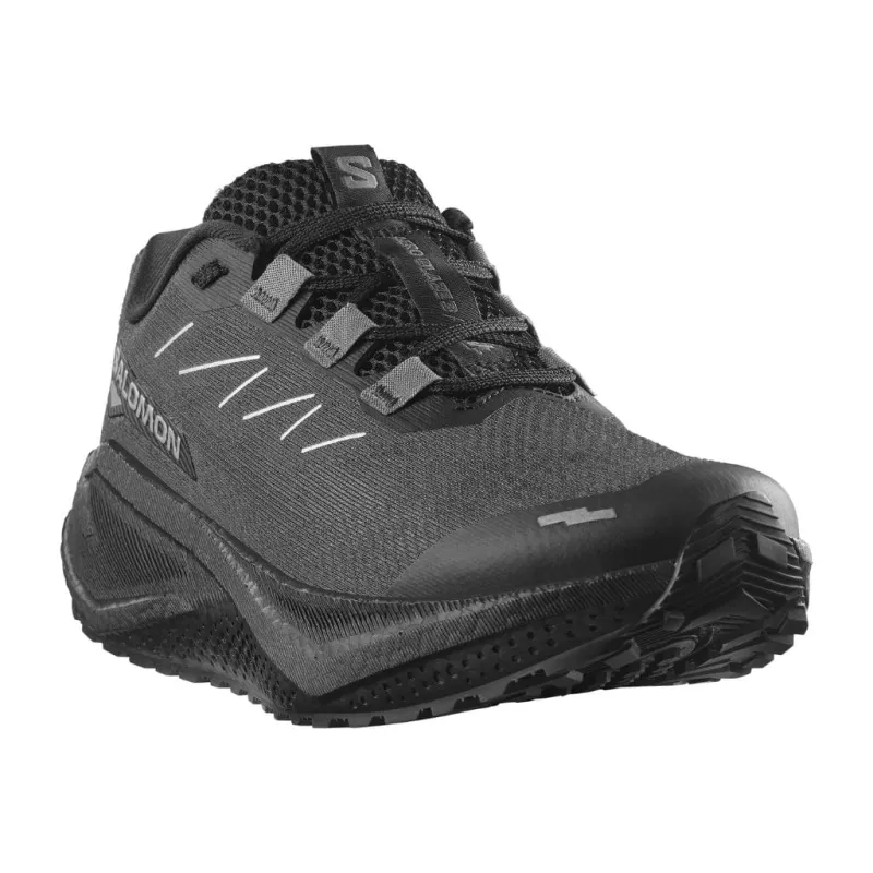 Buty biegowe męskie Salomon Aero Blaze 3 GRVL phantom/black