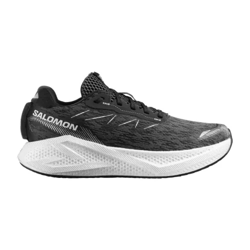 Buty biegowe męskie Salomon Aero Glide 4 black/white/ftw silver