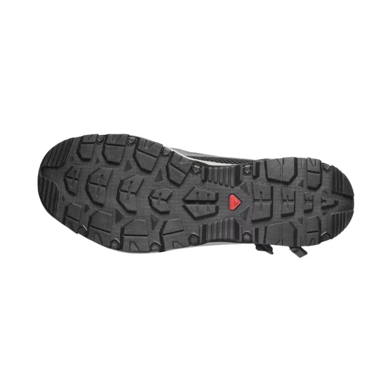 Buty męskie Salomon Techamphibian 5 Castlerock/Willow/Black