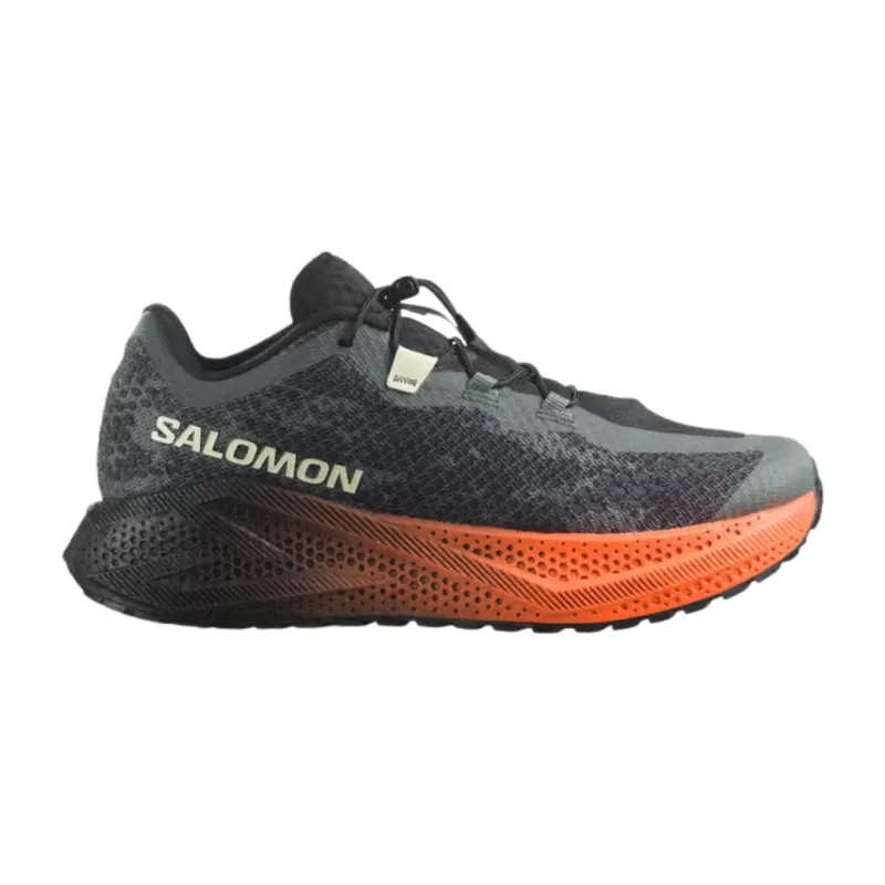Buty biegowe męskie Salomon Aero Glide 4 GRVL urban chic/black/lime cream